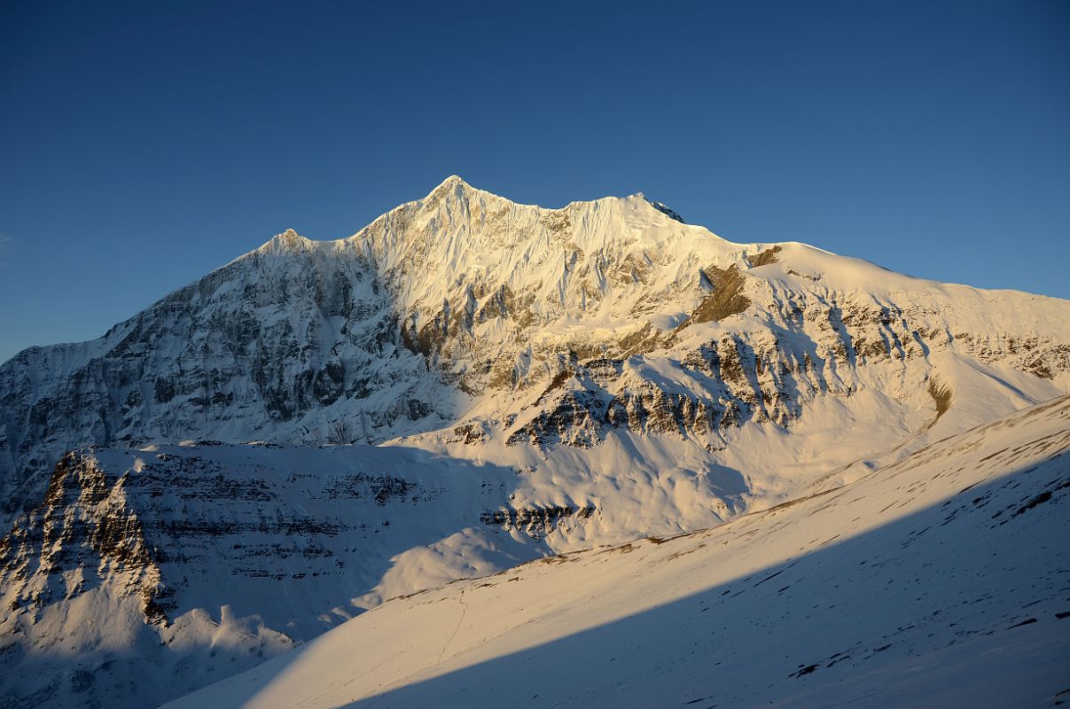 Click to enlarge -
Tukuche Peak At Sunrise From Slope Climbing Dhampus Peak
Tukuche Peak At Sunrise From Slope Climbing Dhampus Peak
